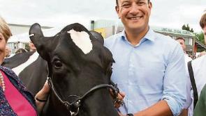 Don't Mind Me: Sorry Leo but beef is for dinner