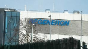 Regeneron boost: ‘Infrastructure needed to aid expansion’ in Limerick