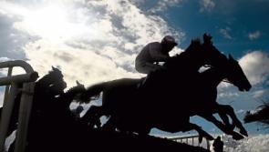 Stonehall all set to stage point-to-point