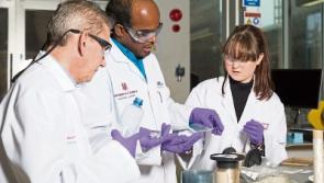 University of Limerick wins funding to tackle scourge of plastic waste