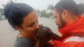 County Limerick man braves crocodile and snake infested flood waters to save animals