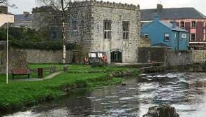 No Folly in ambitious tourism project to boost West Limerick town