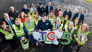Drive for five as 10,000 already signed-up for Team Limerick Clean-Up
