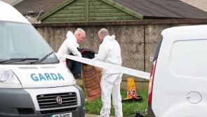 Teenager ‘screamed for help’ before collapsing in Limerick city stabbing