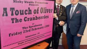 Discord at award of €30,000 to Limerick music collector