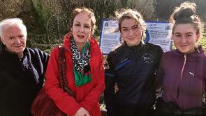 Group hopes to shine a new light on ancient castle in County Limerick