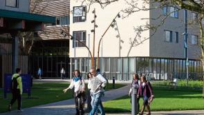 New ‘wellbeing’ post-grad for Limerick’s Mary Immaculate College