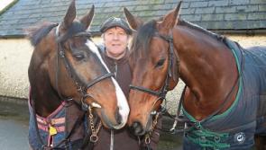 Limerick trainer Enda Bolger’s boys ready for razzmatazz of Cheltenham