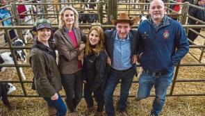 Limerick’s John Hayes tries his hand at auctioneering and purchases at charity auction