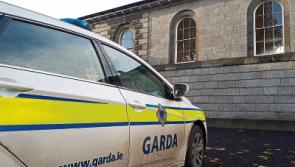 Limerick farmer landed in manure for driving tractor on street