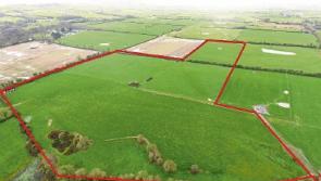 Parcel of ‘top class’ Limerick land up for auction in April