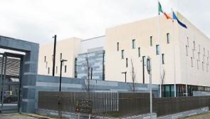 Man who mugged pensioner in Limerick found hiding under a bush by gardai