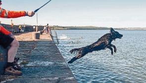 Limerick villages benefit from  almost €350,000 funding boost 