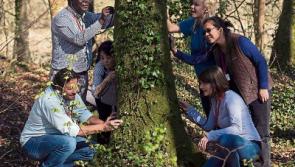 Then & Now: Tree week is ‘planting for our planet’