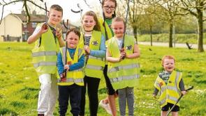 WATCH: Communities bursting with pride during mass Team Limerick Clean-up campaign