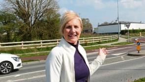 Suburban Limerick homes plan ‘beyond comprehension’