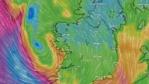 Limerick bracing itself for Storm Hannah as Met Eireann declares ‘Status Orange’ wind alert