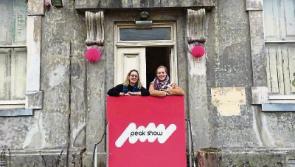 Get a peek at work of artists in Limerick with Peak Show 