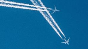 Out In The Open: My guide to the long-haired featherless birds of Ireland