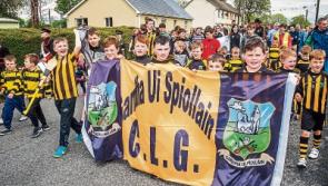 Limerick village marks moment in history and creates its own in the process