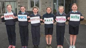 County Limerick: Tight contest in Adare-Rathkeale