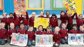 Limerick City: Pitch battle widely expected in village on the edge of City West
