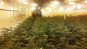Vietnamese woman to be charged in connection with cannabis grow house in Clare