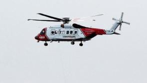 Emergency services deployed to river rescue in Limerick city 