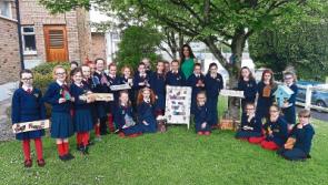 Fairy good idea by Limerick schoolgirls to cultivate garden