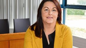 NTA urged to drive plans for bus in Limerick area