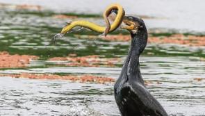 Out in the Open: The sea.... it’s a sure guarantee of savage brutality