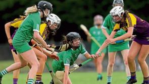 Water quality suspected in illness of camogie players after game in Limerick