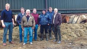 Limerick Beef Plan members call for support for Dail protest