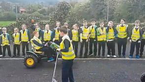 Video wins Limerick school RSA award