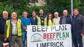 Limerick farmers to the fore at Beef Plan’s ‘rural revolt’ in Dublin