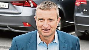 Limerick TD calls for urgent action after greyhound industry exposé