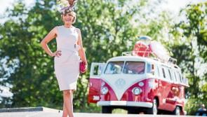 Auctioneer  looks pretty in pink at Limerick races 