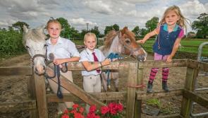 Show the star of active, lively weekend ahead in  Limerick
