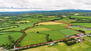 Limerick auctioneer guides at €15,000 per acre for Cork farm