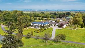 County Limerick stud farm continues to attract interest of international set