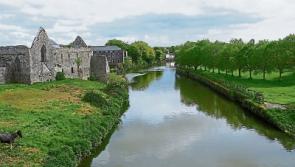 Councillors keen to draw up five year plan for towns and villages in county Limerick district 