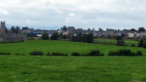 Councillors clear way for pitch beside 700-year-old priory in Limerick town
