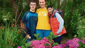 Community:Sensory garden brings out the best in Limerick neighbourhood