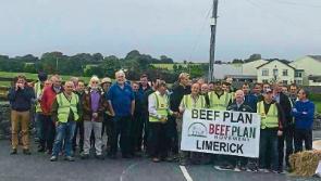 Vast majority won’t pass Limerick Beef Plan picket