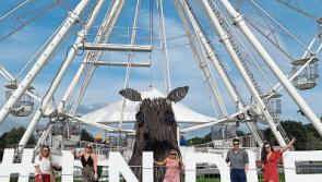 Another ‘Indie-credible’ weekend in Mitchelstown