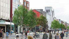 Artists to compete for permanent exhibit as part of Limerick city revitalisation 