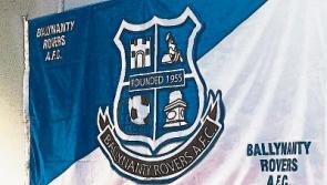 Council's safety concern about stray footballs on new Limerick road