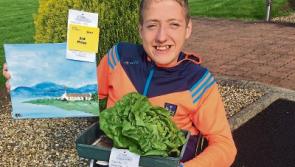 Lettuce all enjoy Sean’s win at first time of trying at Cappamore Show