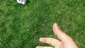 Green Fingers: September is time to fix your lawns