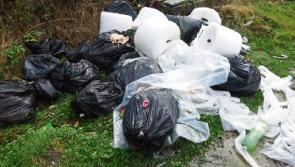 Judge aims to send message with €2,500 fine for illegal dumping in Co. Limerick town park  
